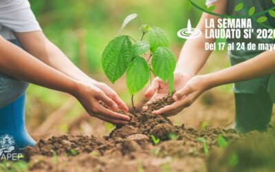 APEP impulsa la Semana Laudato Si’ para promover la ecología integral y el compromiso socioeducativo