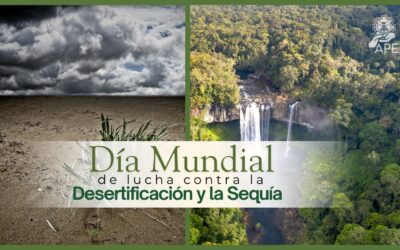 Pastizales y Tierra Fértil: Día Mundial de Lucha contra la Desertificación y la Sequía